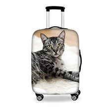 Load image into Gallery viewer, Travel Luggage Cover Spandex Suitcase Cover 18-28inch