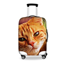 Load image into Gallery viewer, Travel Luggage Cover Spandex Suitcase Cover 18-28inch